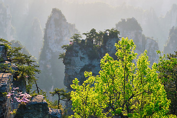 Image showing Zhangjiajie mountains, China