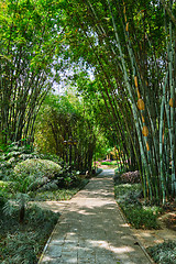 Image showing Wangjiang Pavilion in Wangjianglou park. Chengdu, Sichuan, China