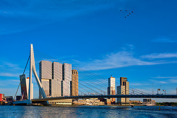 Image showing Rotterdam cityscape ,  Netherlands