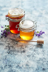 Image showing Jars with different kinds of fresh organic honey