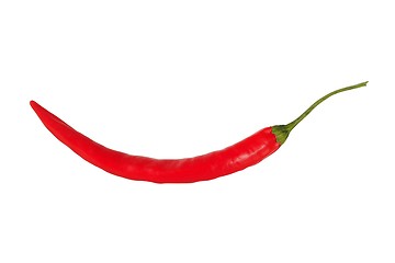 Image showing Chili pepper on white