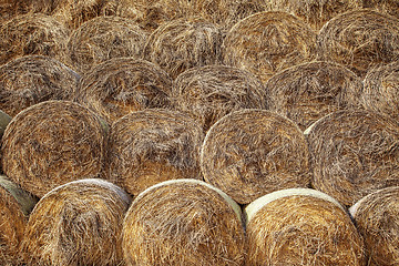 Image showing Hay in the stacks. Texture