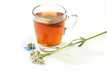 Image showing Herbal Tea with Valerian