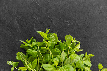 Image showing green mint leaves on stone background