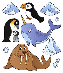 Image showing Winter animals topic set 1