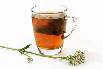 Image showing Valerian Tea