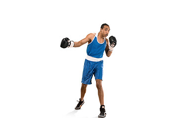 Image showing Sporty man during boxing exercise. Photo of boxer on white background