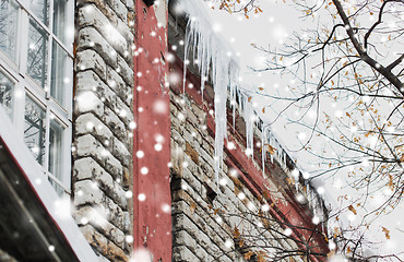 Image showing icicles on building or living house facade