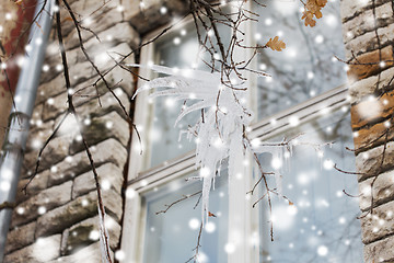 Image showing icicles on tree branch over window