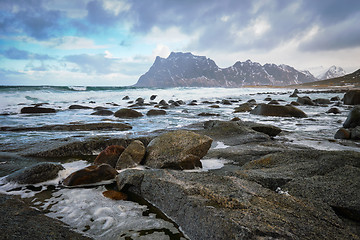 Image showing Beach of fjord in Norway