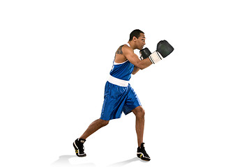 Image showing Sporty man during boxing exercise. Photo of boxer on white background