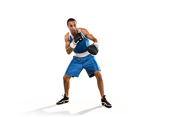 Image showing Sporty man during boxing exercise. Photo of boxer on white background