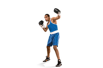 Image showing Sporty man during boxing exercise. Photo of boxer on white background