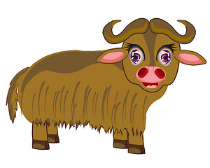 Image showing Vector illustration arctic animal musk ox.Vector illustration