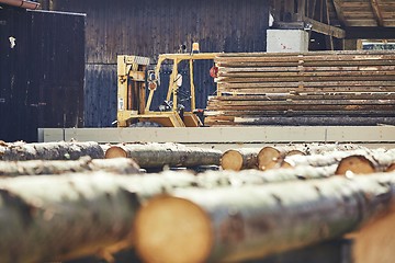 Image showing Timber at the sawmill