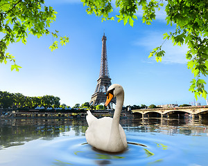 Image showing Swan and Eiffel Tower