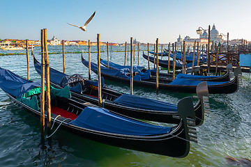 Image showing Traditional gondolas in Venice