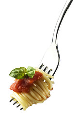 Image showing pasta