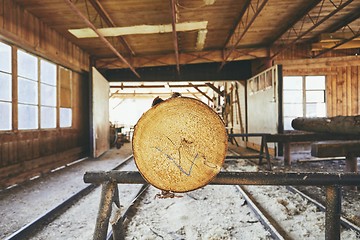 Image showing Timber at the sawmill