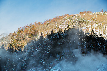 Image showing winter forest in japan