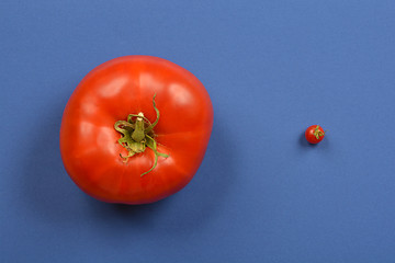 Image showing Tomatos