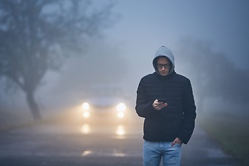 Image showing Thick fog on roadside