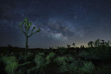 Image showing Blue Milky Way Core in the Desert of Joshua Tree National Park