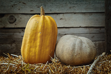 Image showing Pumpkins against Wooden Background