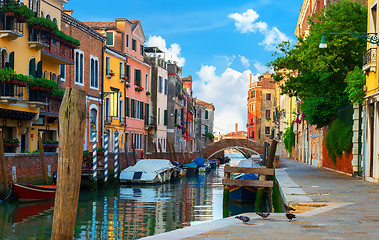 Image showing Colorful houses of Venice