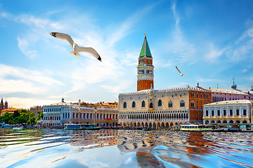 Image showing Seagulls and San Marco