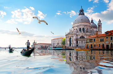 Image showing Seagulls and Grand Canal