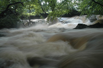 Image showing The Salmon Leap