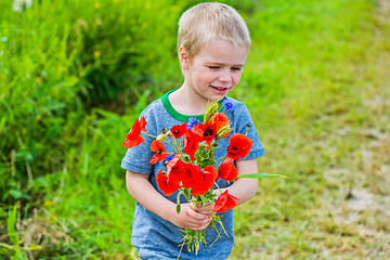 Image showing Cute boy in field