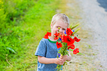 Image showing Cute boy in field