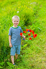 Image showing Cute boy in field