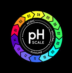 Image showing pH meter for measuring acid alkaline balance. infographics in the circle form with pH scale