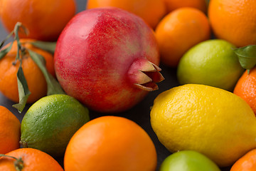 Image showing close up of citrus fruits