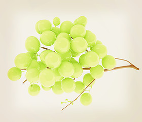 Image showing Healthy fruits Green wine grapes isolated white background. Bunc