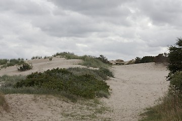 Image showing Sandy desert. 