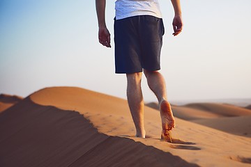 Image showing Walk in desert