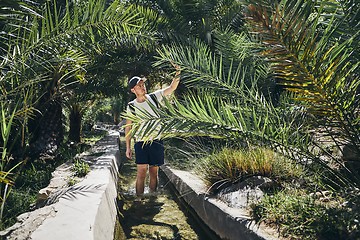 Image showing Tourist walking in water between palm trees 