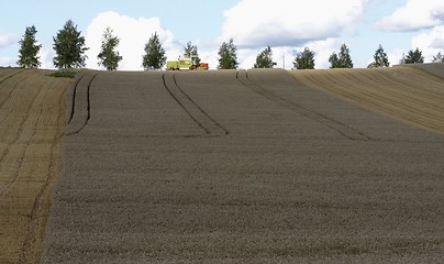 Image showing Harvesting. 