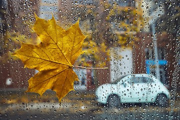 Image showing Autumn in the city