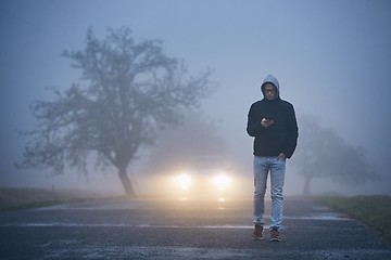 Image showing Thick fog on roadside