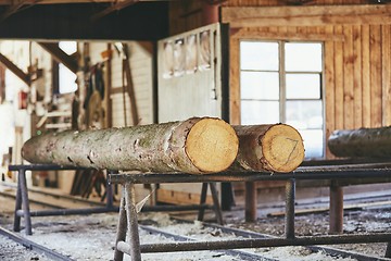 Image showing Timber at the sawmill