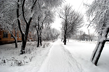 Image showing path covered with snow