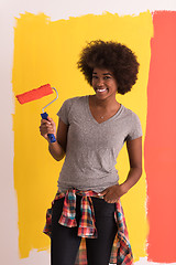 Image showing black woman painting wall