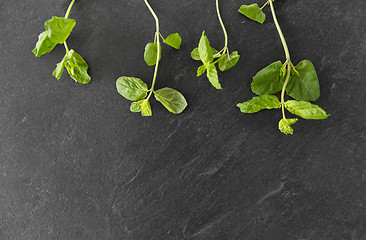 Image showing green mint leaves on stone background