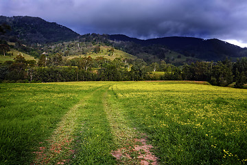 Image showing Hunter Valley fields