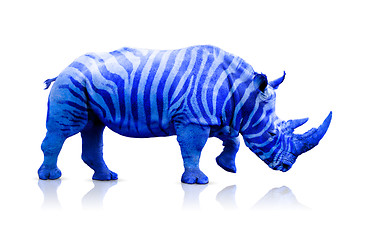 Image showing Blue rhino with zebra lines